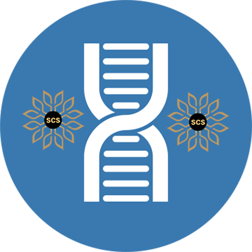 IN SILICO GENOTOXICITY ASSESSMENT