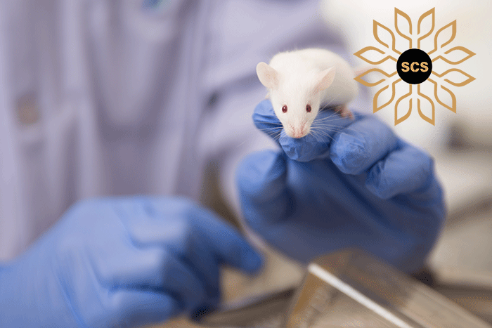 IN-VIVO TOXICOLOGY