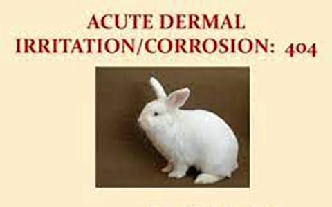 Acute Toxicity Studies – Study Design of OECD GLP TG 404 – Acute Dermal Irritation/Corrosion Study In Rabbits