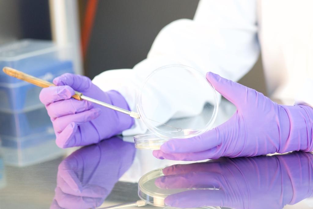 Study Design of EpiSkin-In Vitro Skin Irritation (OECD 439)