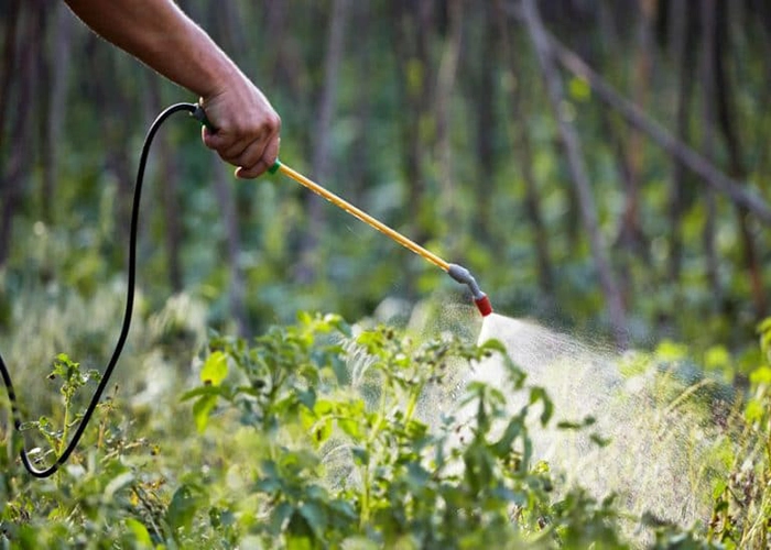 Blog - Laboratory Testing & Analysis 1 CIPAC Guidelines: Ensuring Quality and Consistency for Reliable Pesticide Analysis