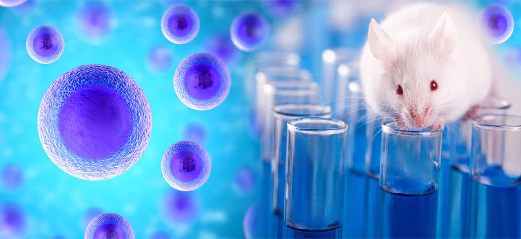Preclinical Toxicology Business India: Challenges and Opportunities