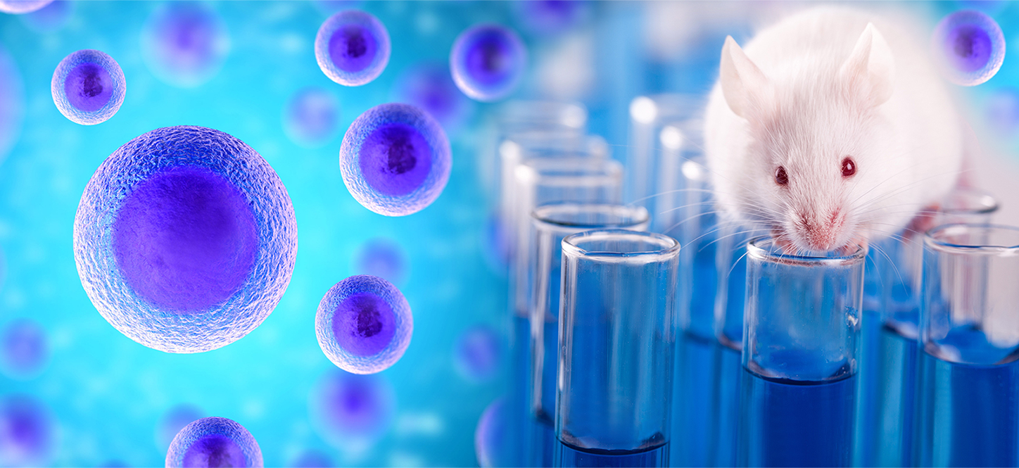 Blog - Scientific 5 Preclinical Toxicology Business India: Challenges and Opportunities